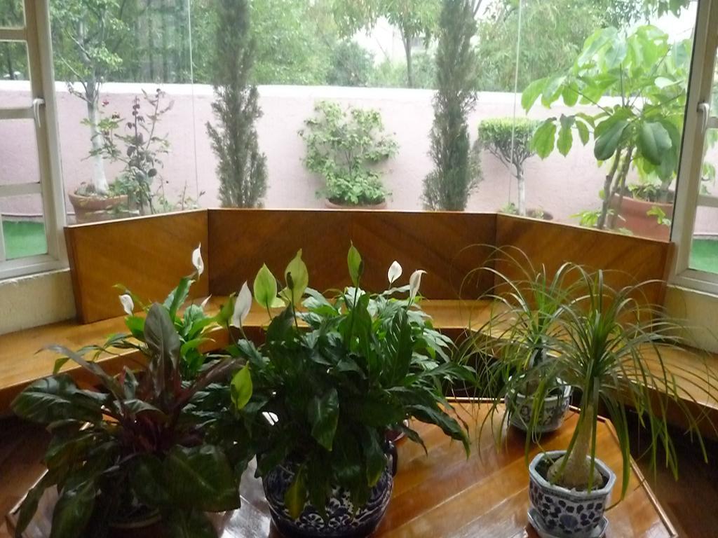 Casona Roma Norte Meksika Dış mekan fotoğraf
